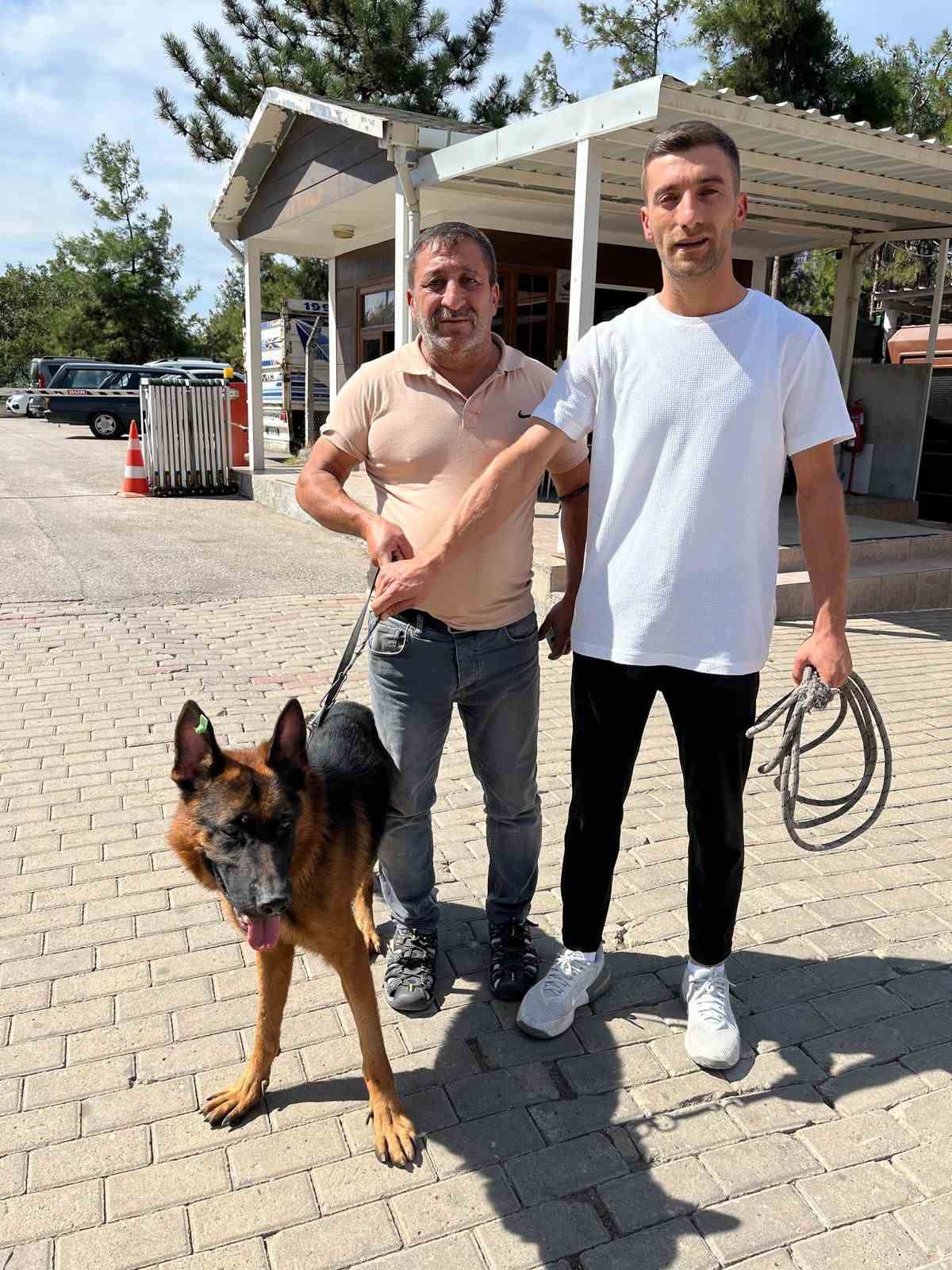 osmangazi belediyesi can dostlarin umudu oluyor 4 9bDpIZvQ