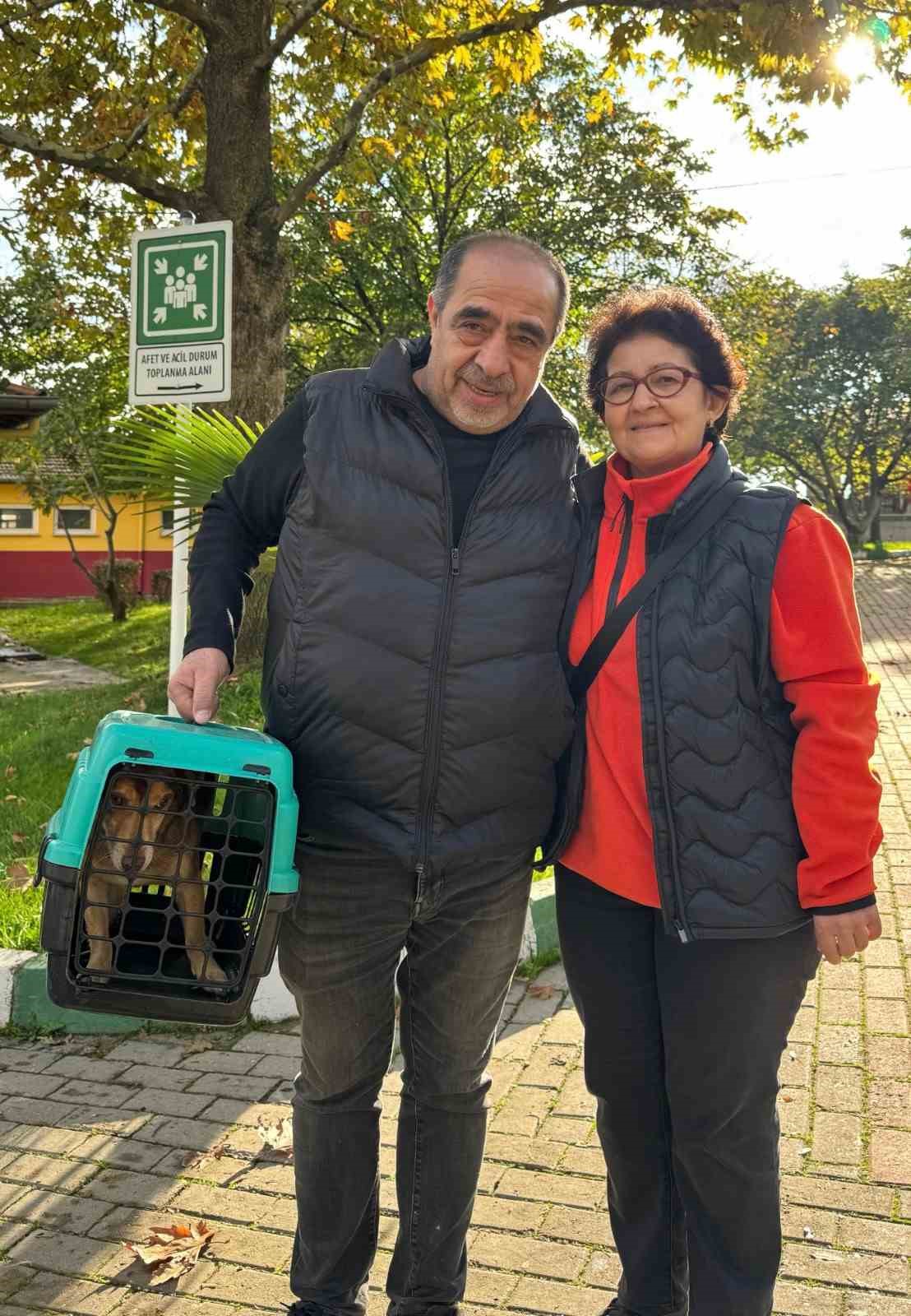 osmangazi belediyesi can dostlarin umudu oluyor 5 ZTrlMvrE