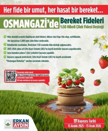 osmangazi-belediyesi-yuzde-50-hibeli-cilek-fidesi-dagitacak-mXIhCQrc.jpg