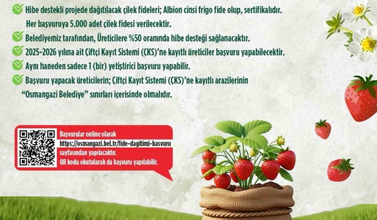 osmangazi-belediyesi-yuzde-50-hibeli-cilek-fidesi-dagitacak-mXIhCQrc.jpg