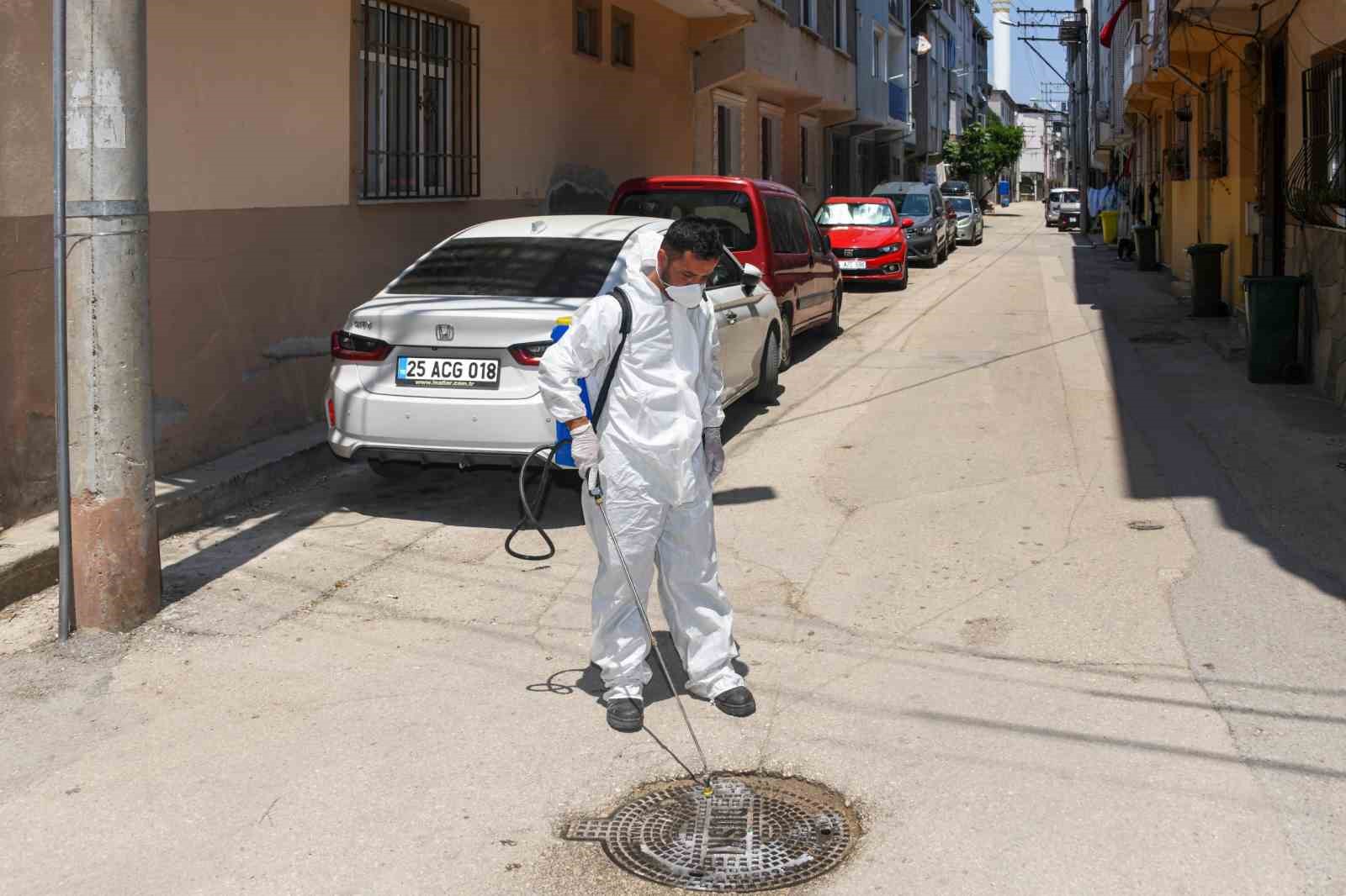 Osmangazi Belediyesi’nden haşereye karşı anında müdahale 4 osmangazi belediyesinden hasereye karsi aninda mudahale 0 SLqkVl6z