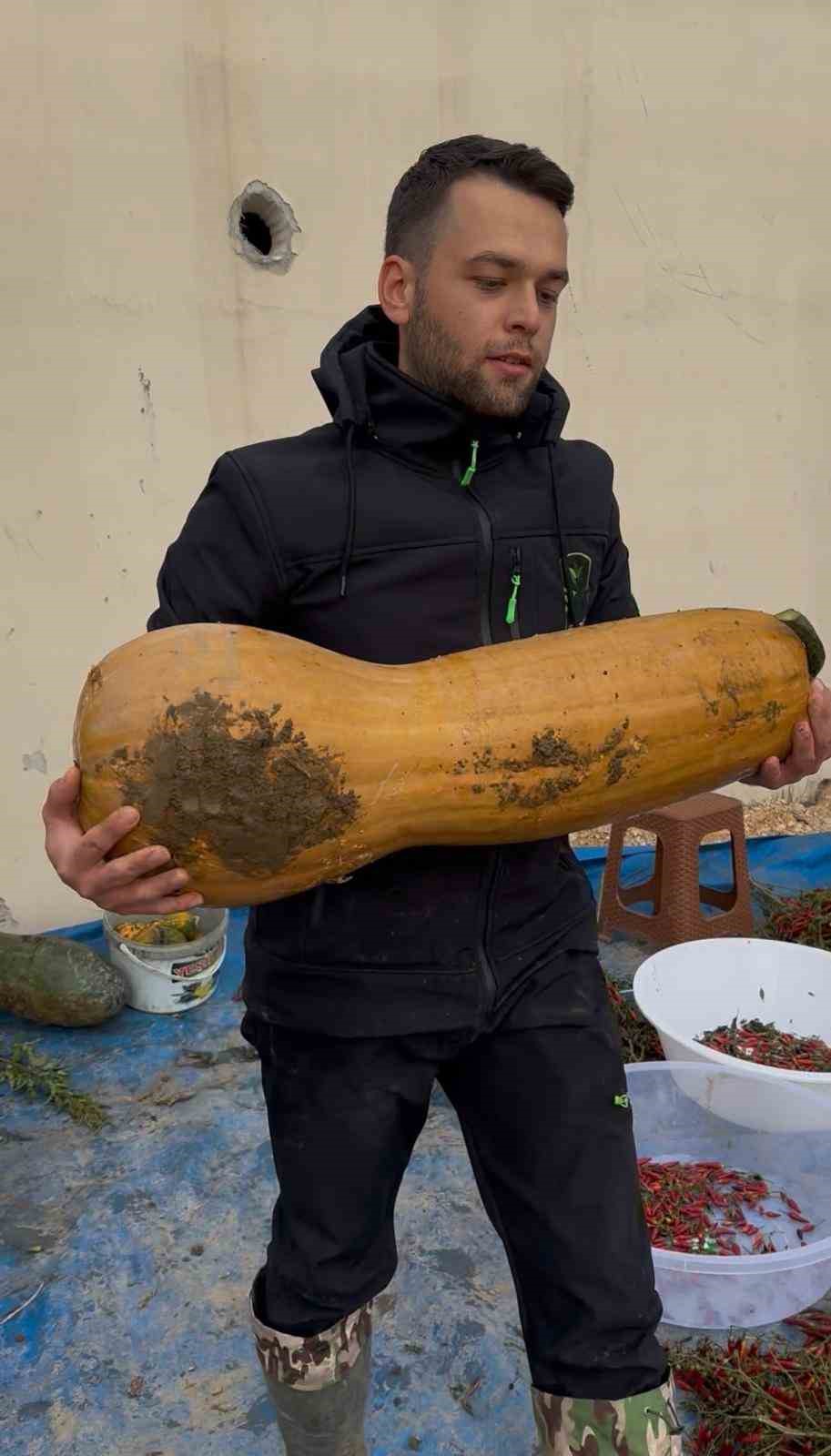osmangazide 30 kilogramlik kibris bal kabagi yetistirildi 2 GdFfzZbq