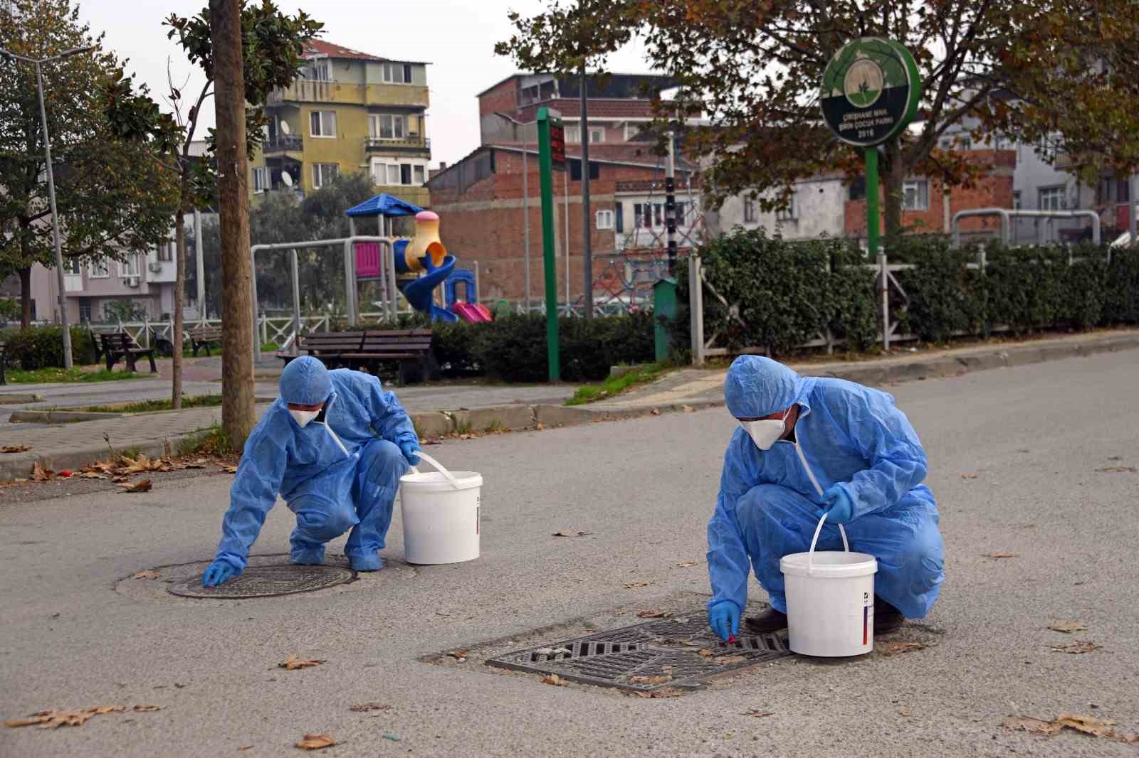 osmangazide kemirgenlere karsi ilaclama calismasi baslatildi 2 8fSVScaw