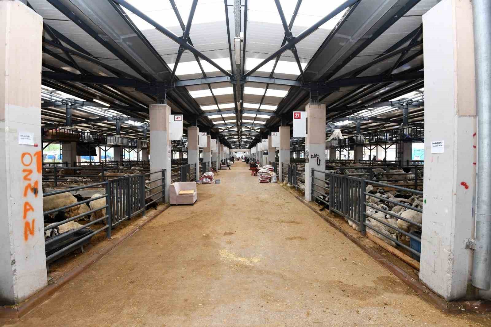 osmangazide kurban satis ve kesim alanlari hizmete hazir 2 n7AuYQtk