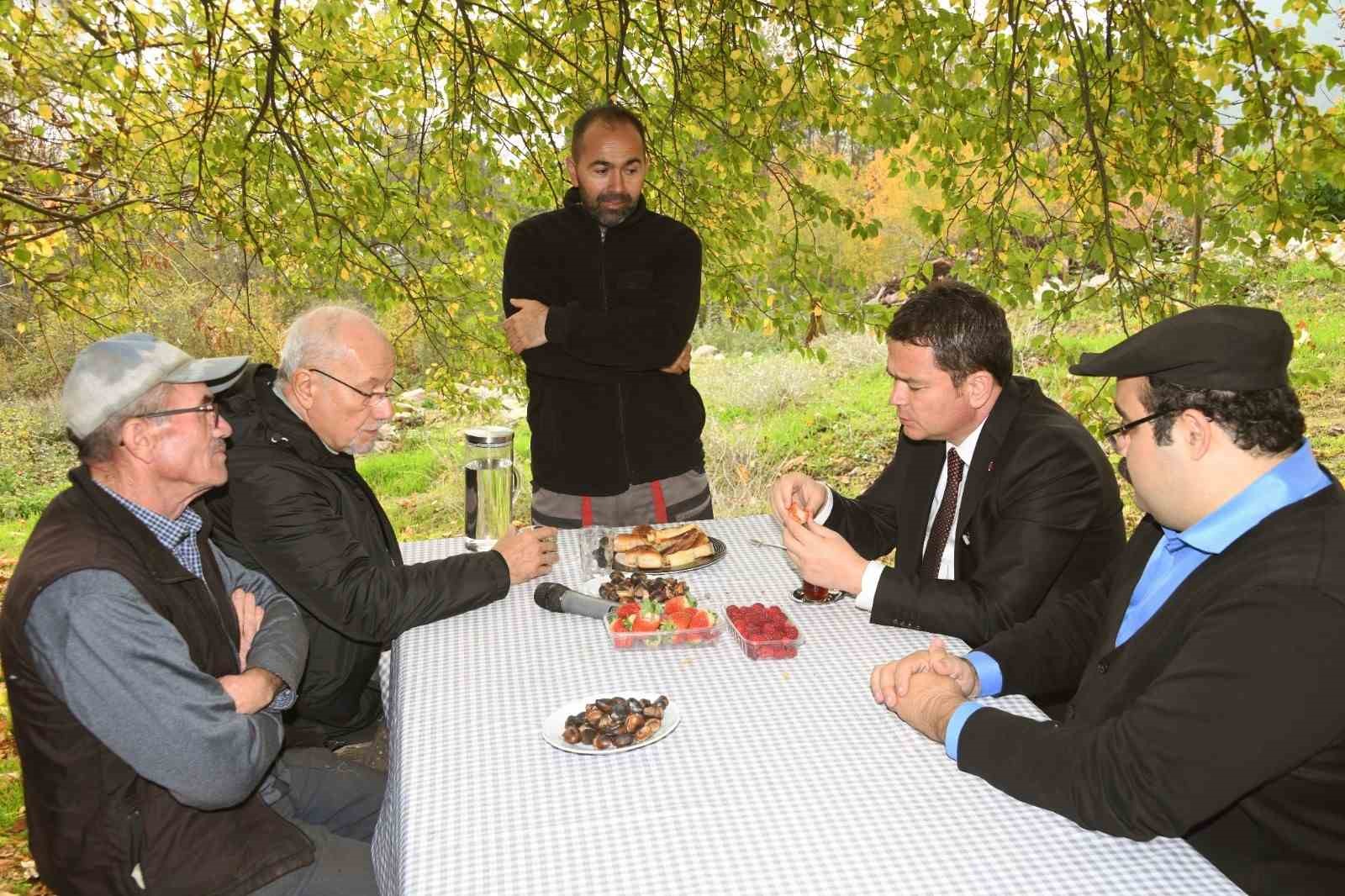 osmangazide uzumsu meyvelerde organik tarim seferberligi 1 mpsjb1OC