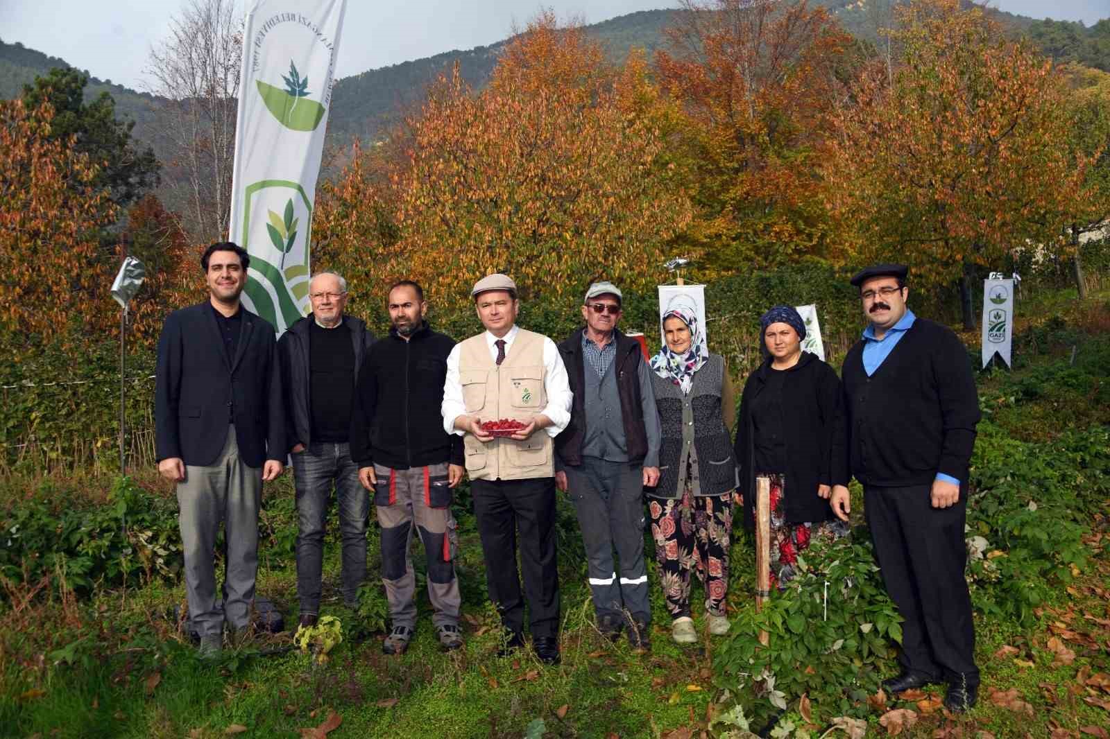 osmangazide uzumsu meyvelerde organik tarim seferberligi 5 ZPPPvSlv