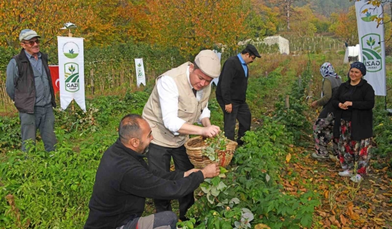 osmangazide-uzumsu-meyvelerde-organik-tarim-seferberligi-e2KiTf5c.jpg