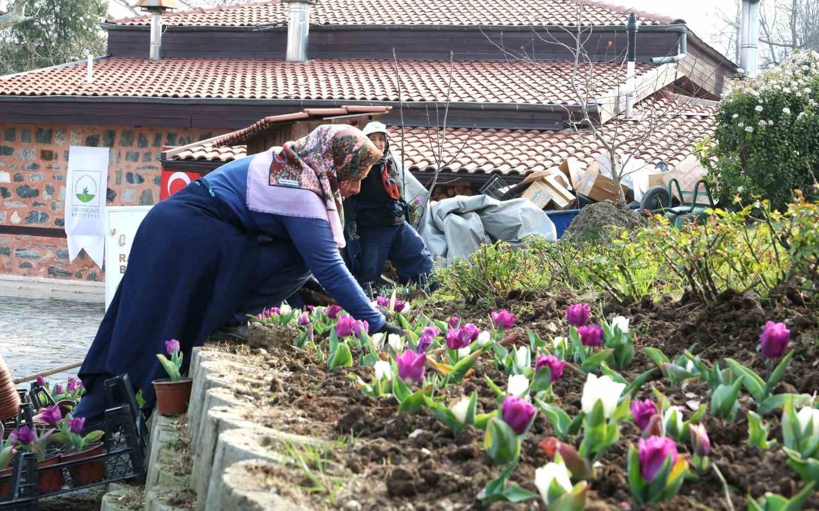 osmangazinin her bir noktasi cicek acti 1