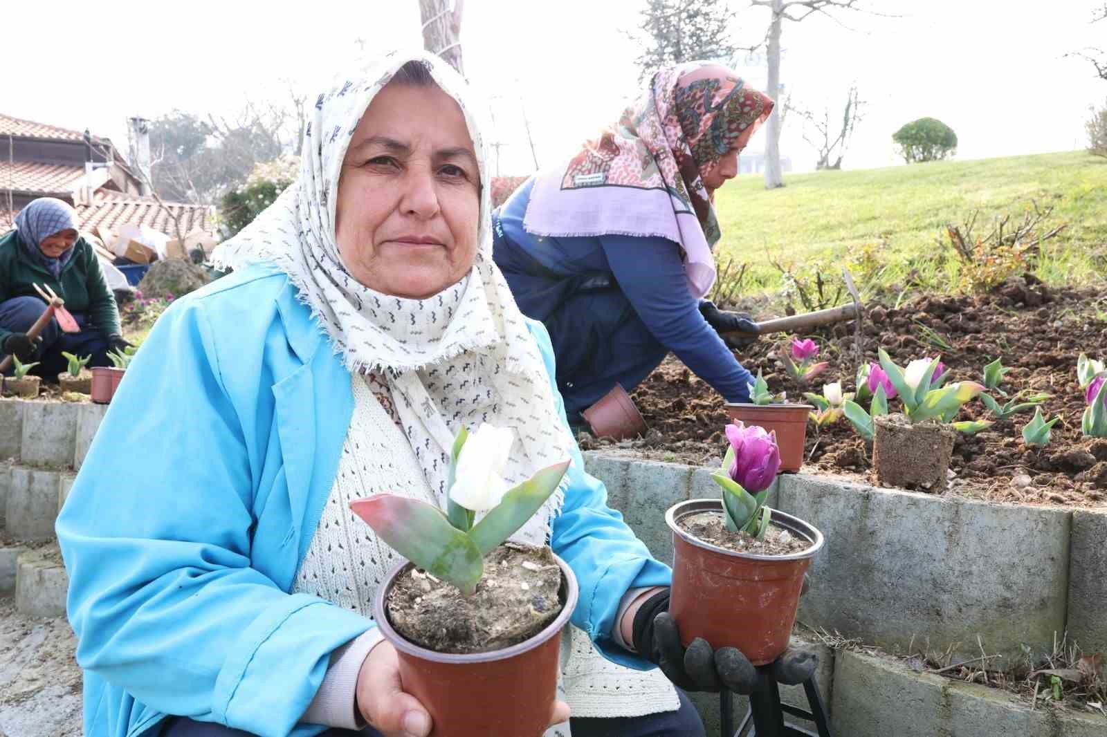 osmangazinin her bir noktasi cicek acti 4