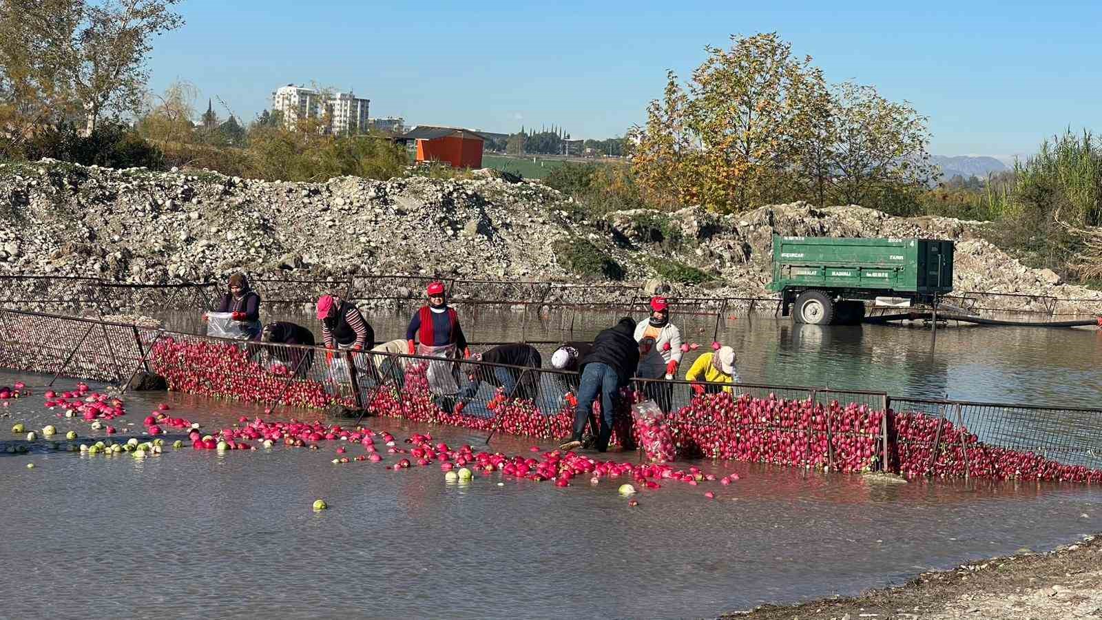 osmaniye kadirlide turp mesaisi soguk suda ekmek mucadelesi 6 Lqa5V1rU