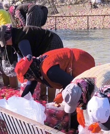 osmaniye-kadirlide-turp-mesaisi-soguk-suda-ekmek-mucadelesi-KrYtlXhp.jpg