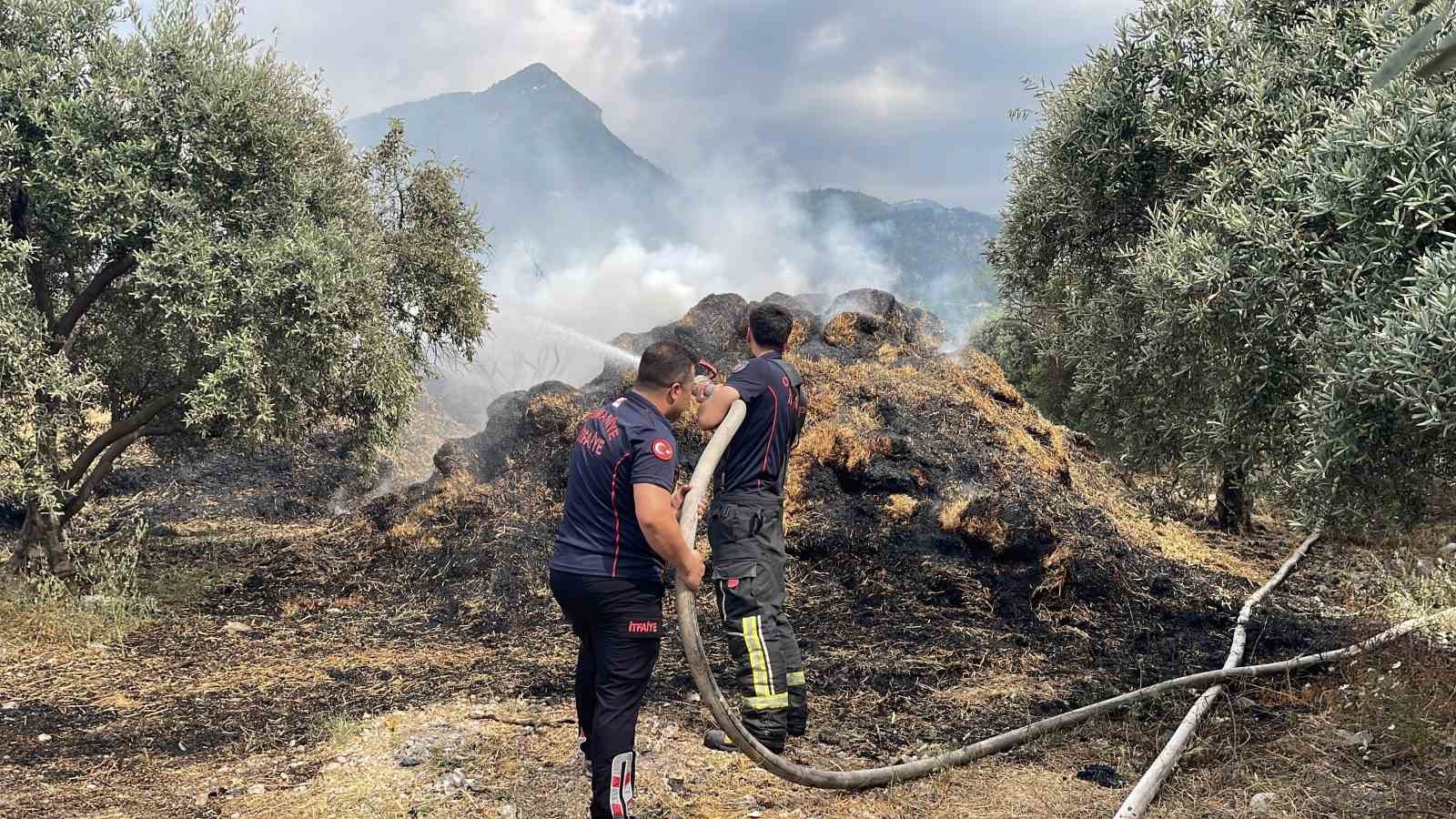 osmaniyede bahcedeki saman balyalari yandi zeytin fidanlari zarar gordu 0 SpIAGblN