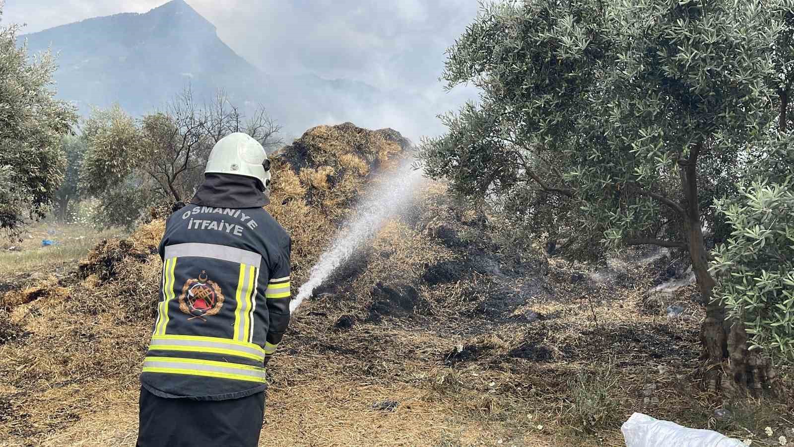 osmaniyede bahcedeki saman balyalari yandi zeytin fidanlari zarar gordu 2 EyRjqiuG