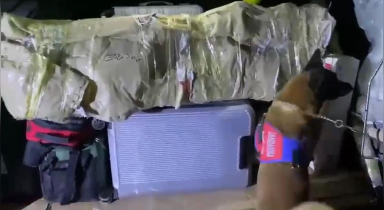 osmaniyede bal kabagindan uyusturucu cikti 2 IUHnUPb4