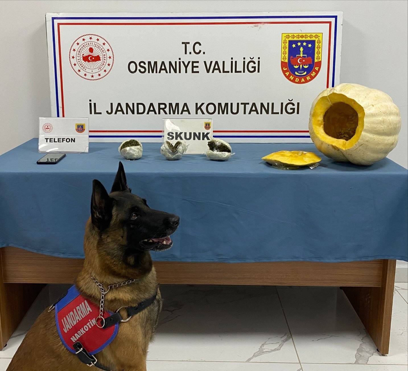 osmaniyede bal kabagindan uyusturucu cikti 3