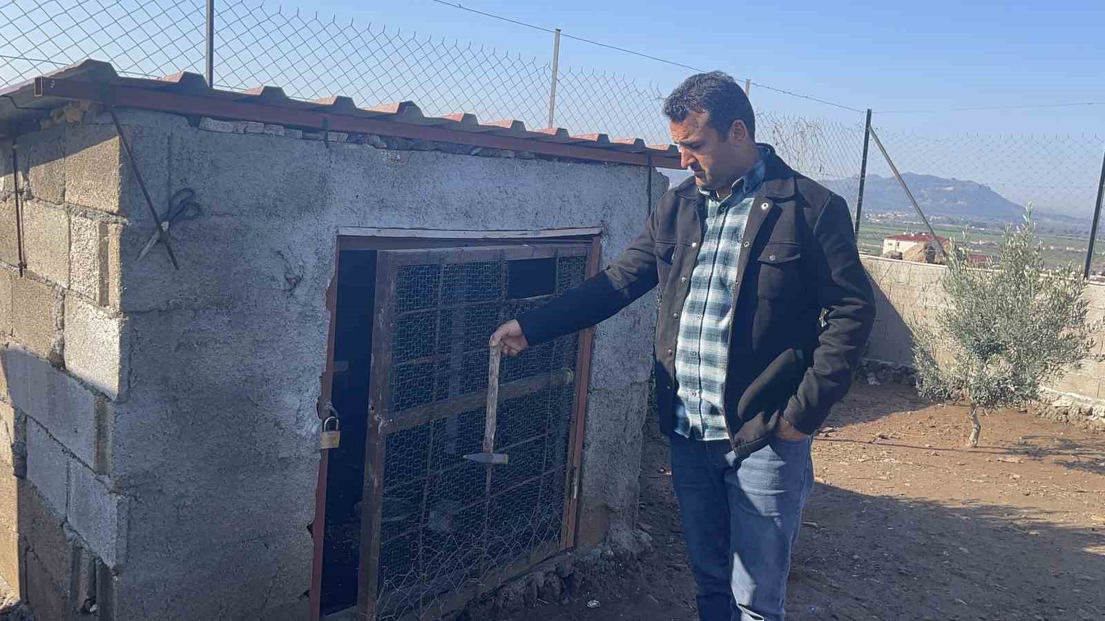 osmaniyede hobi bahcesine giren hirsizlar 25 guvercini caldi 2 kZu1cFra