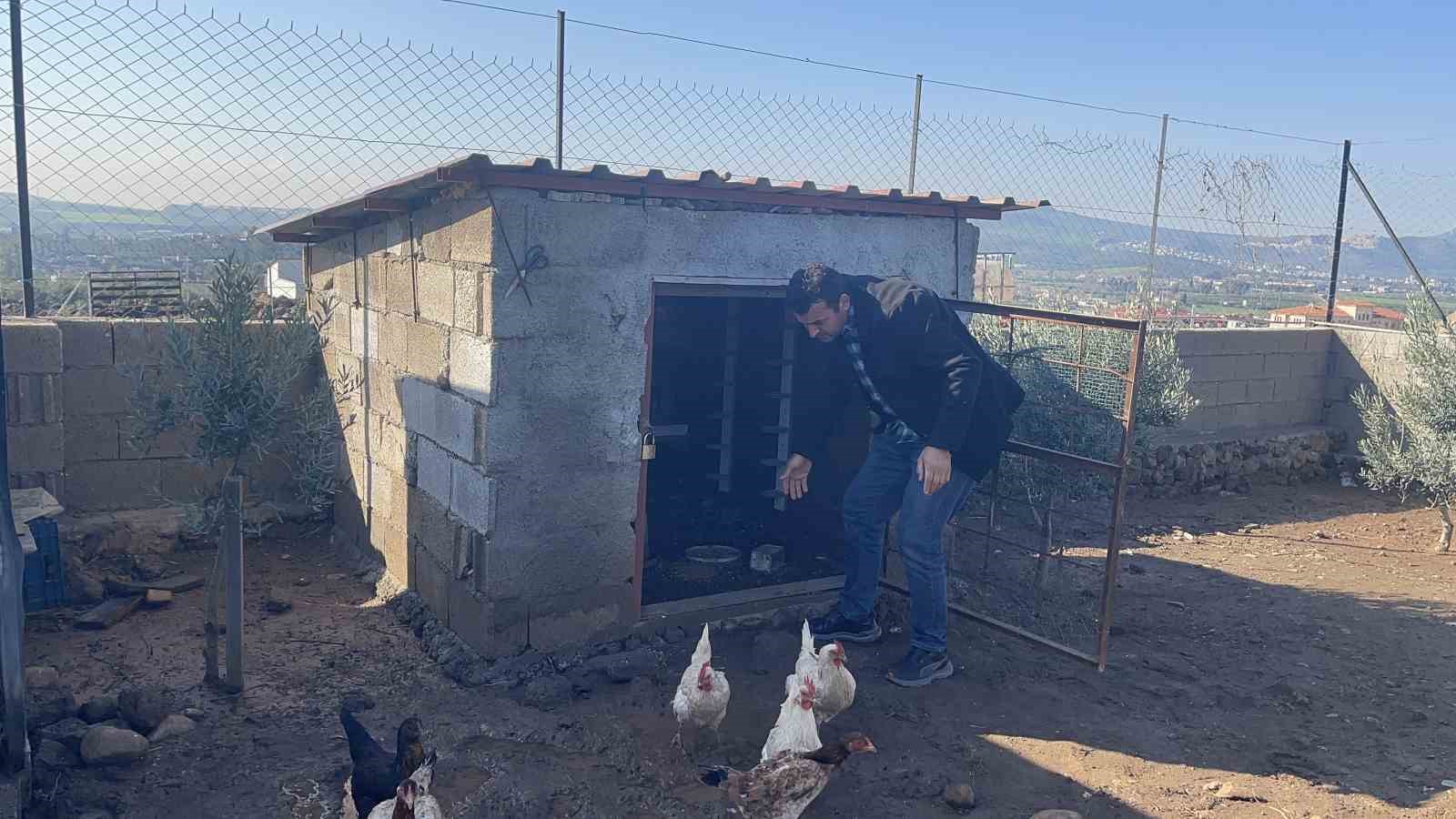 osmaniyede hobi bahcesine giren hirsizlar 25 guvercini caldi 3 uI5p2X1k