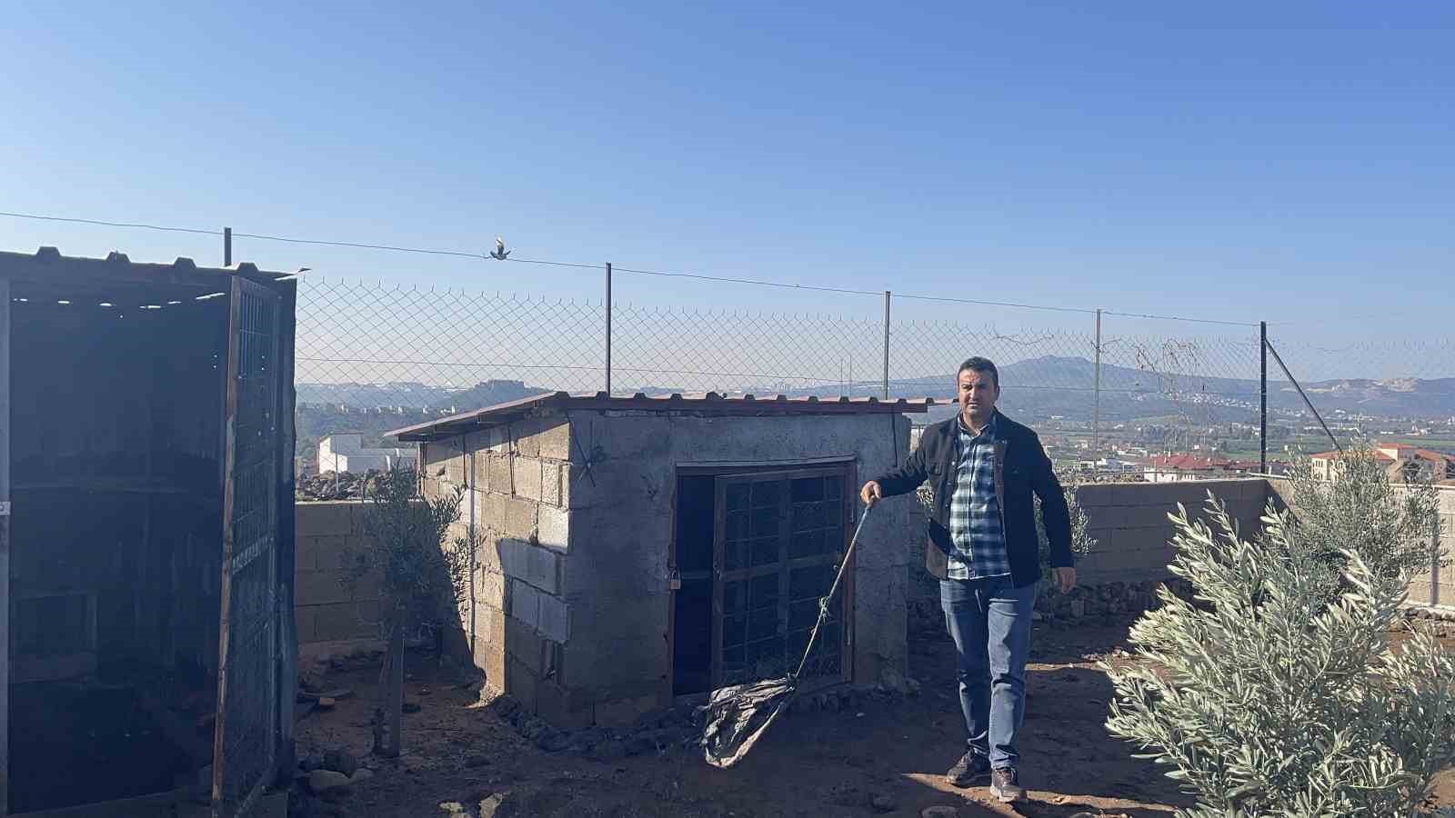 osmaniyede hobi bahcesine giren hirsizlar 25 guvercini caldi 4 kTOWasB3