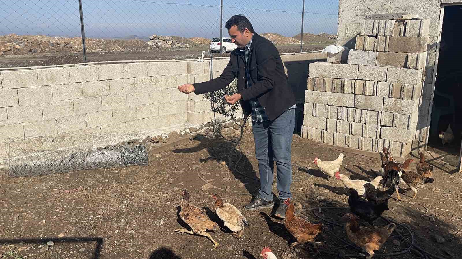osmaniyede hobi bahcesine giren hirsizlar 25 guvercini caldi 5 hlF64iHn