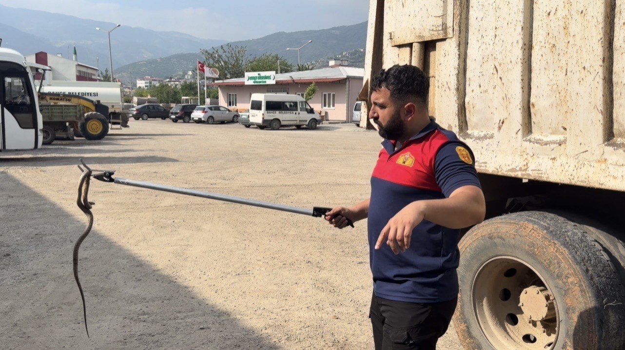 Osmaniye’de kaçak yolcu yılan, üçüncü araçta yakalandı 4 osmaniyede kacak yolcu yilan ucuncu aracta yakalandi 0 a9q7giVr