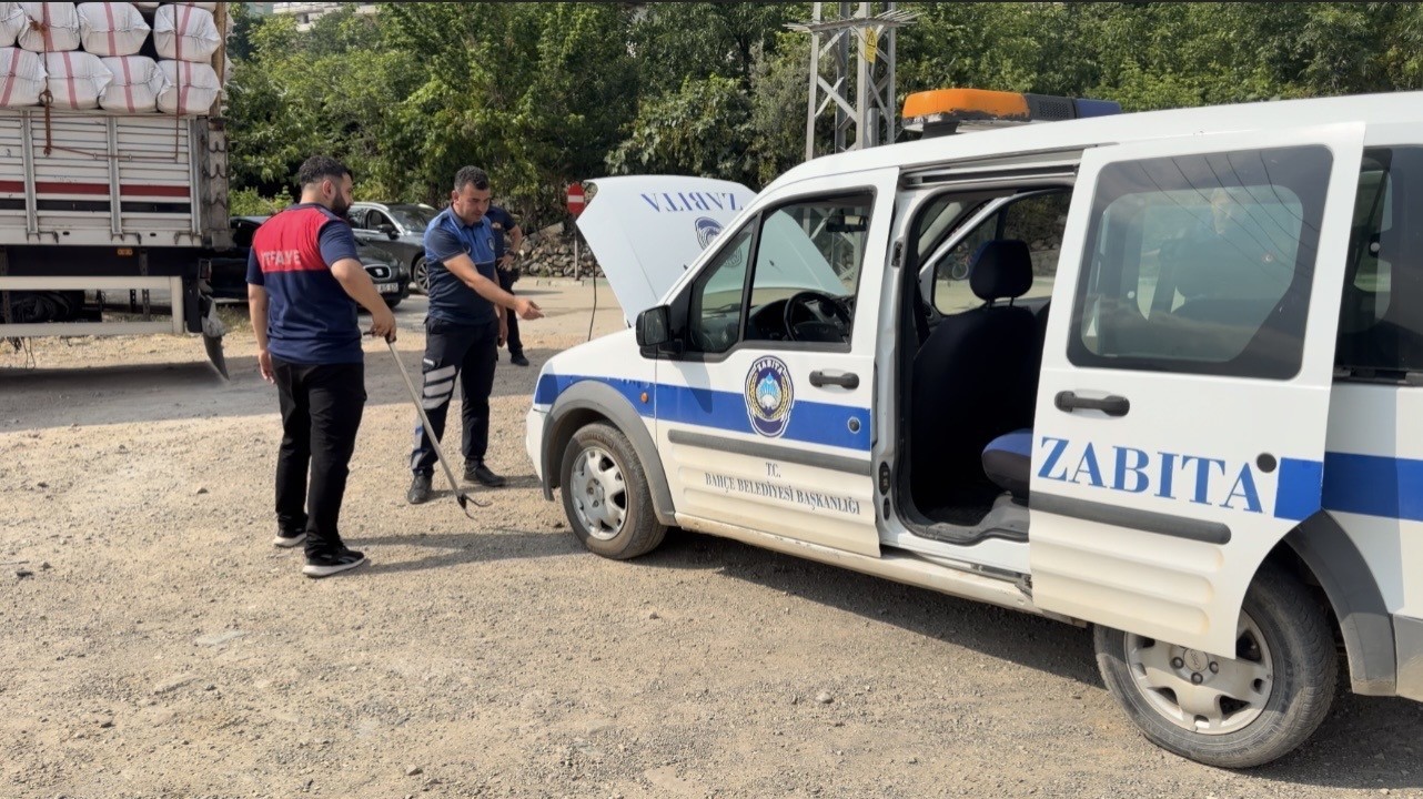 Osmaniye’de kaçak yolcu yılan, üçüncü araçta yakalandı 7 osmaniyede kacak yolcu yilan ucuncu aracta yakalandi 3 qGj22BCX