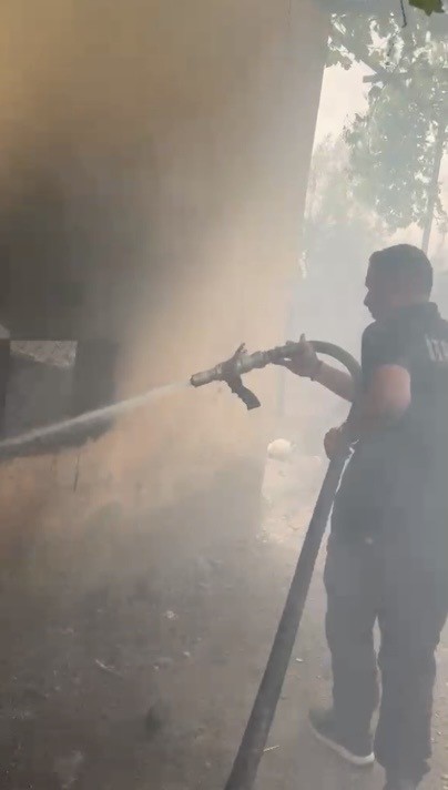 osmaniyede kiler yangininda kedi ve yavrulari kurtarildi 0