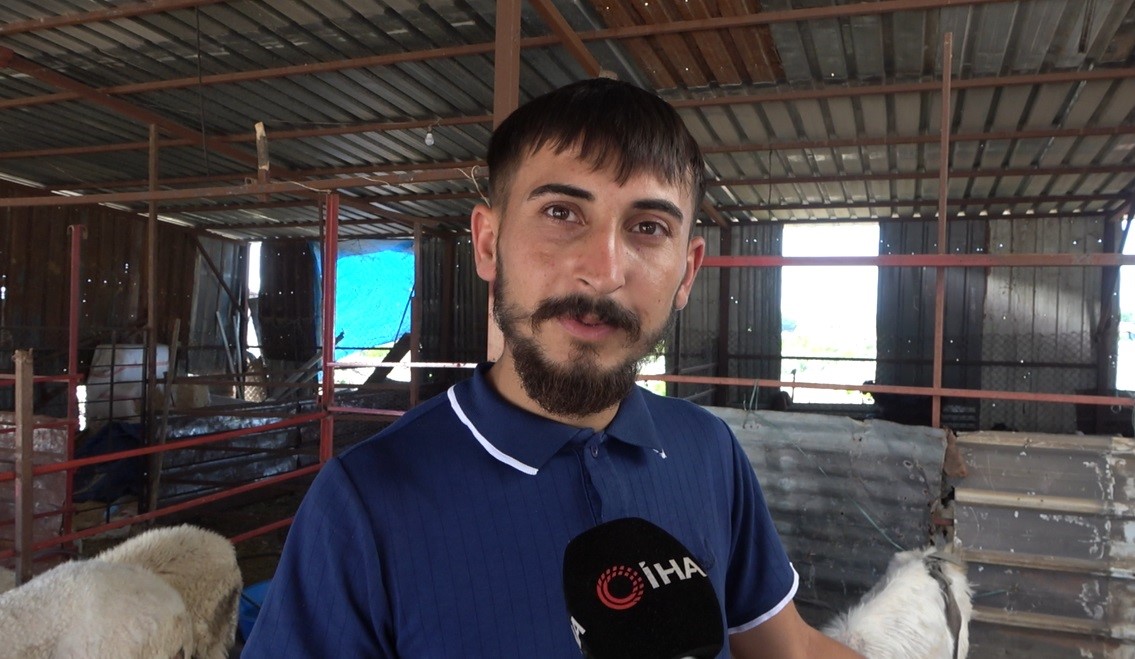 osmaniyede kulagindan boynuz cikan keci ilgi odagi oldu 3 EYadS8Nc