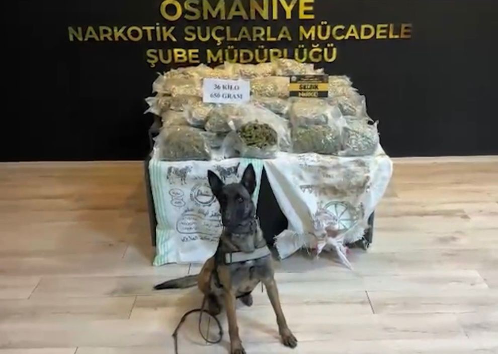osmaniyede uyusturucu operasyonu 2 tutuklama 3 g3UD5jYR