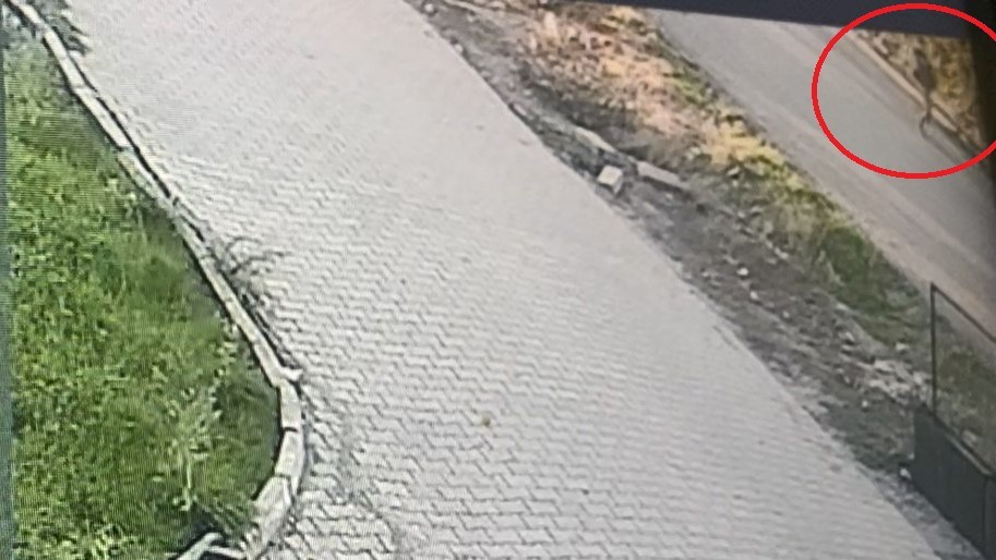 otizmli cocugun kaybolduktan sonraki goruntuleri ortaya cikti 0 vqG2cMIS