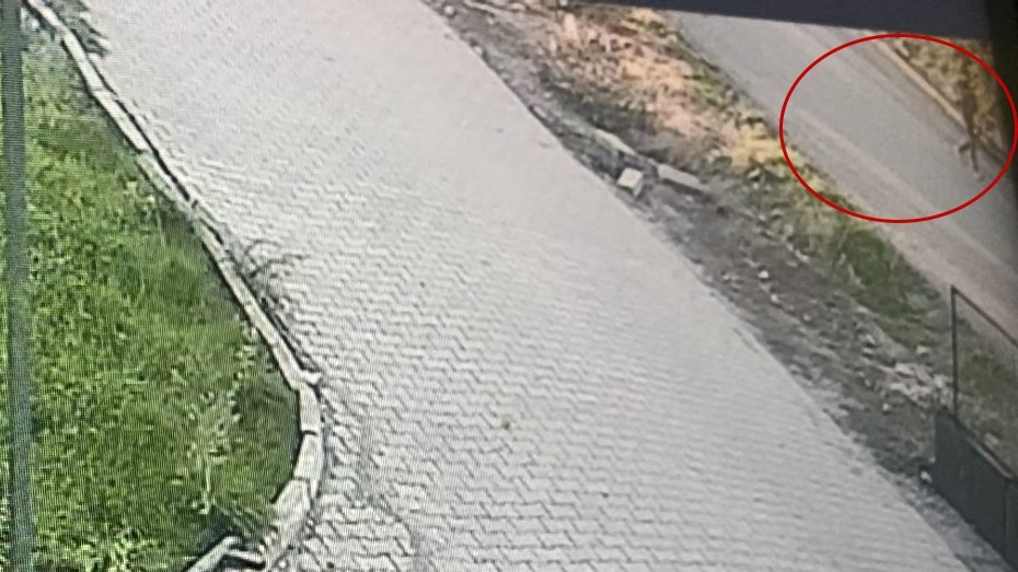 otizmli cocugun kaybolduktan sonraki goruntuleri ortaya cikti 1 T8bSQIXI