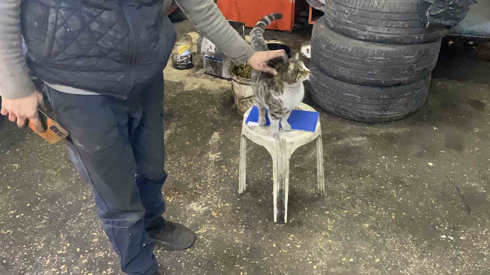 oto tamircisinin en sadik ciragi sikkidi oldu 2