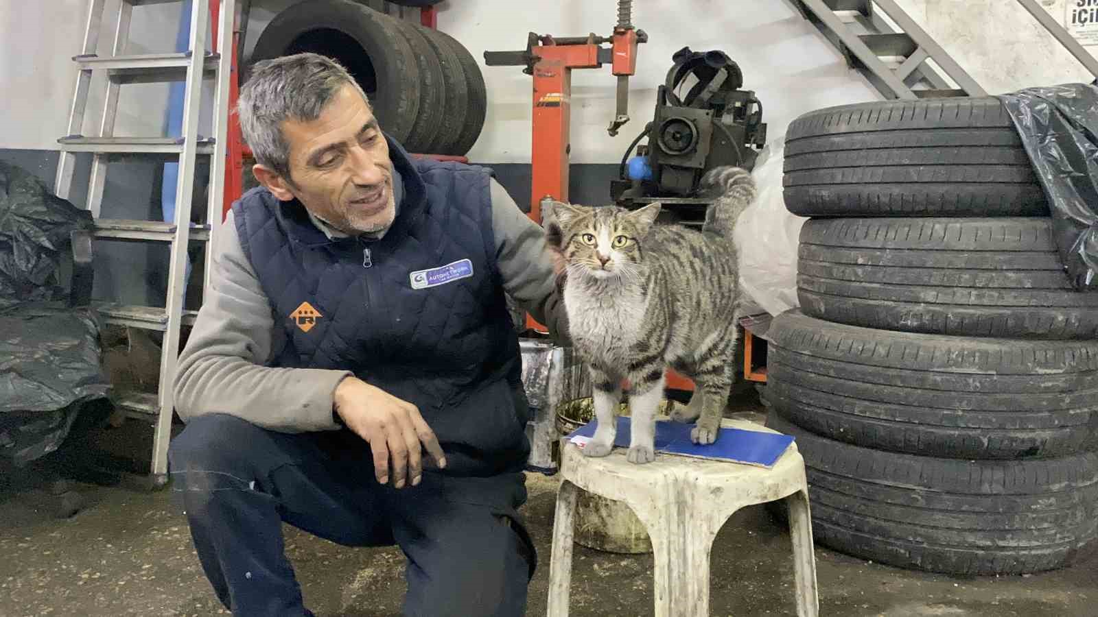 oto tamircisinin en sadik ciragi sikkidi oldu 4 C4SiN8jL