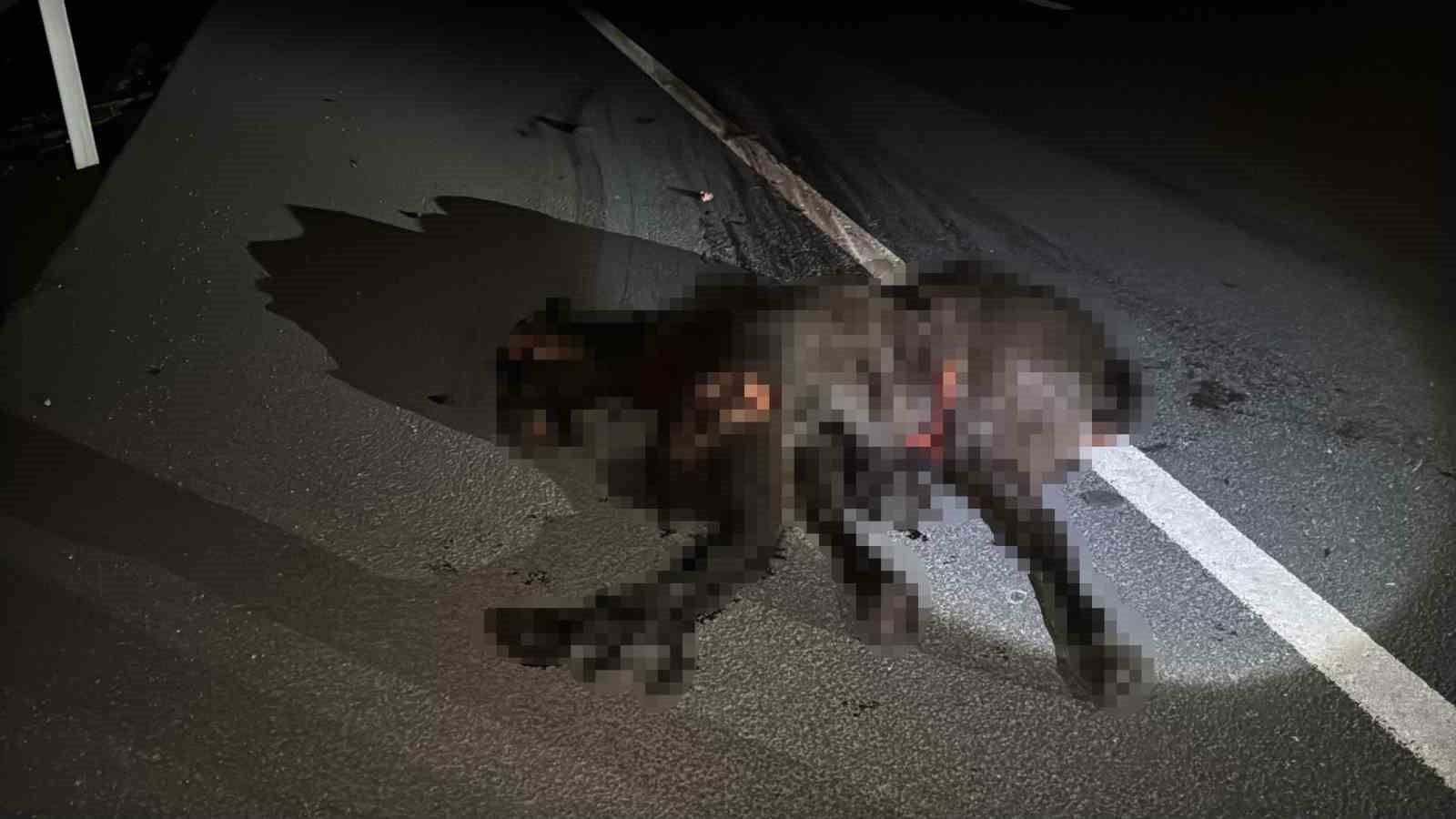 otomobil kara yoluna cikan ata carpti 3 yarali 3 p3z8parX