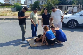 Kahramanmaraş’ta arının soktuğu çocuk hayatını kaybetti 2 thumbnail