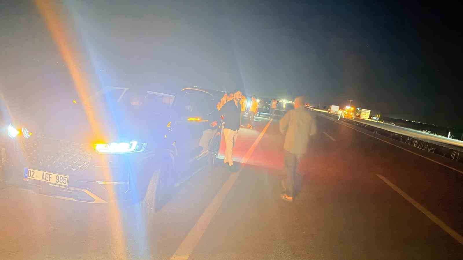 otomobilin carptigi surudeki 12 kucukbas hayvan telef oldu 0 zMT98SGF