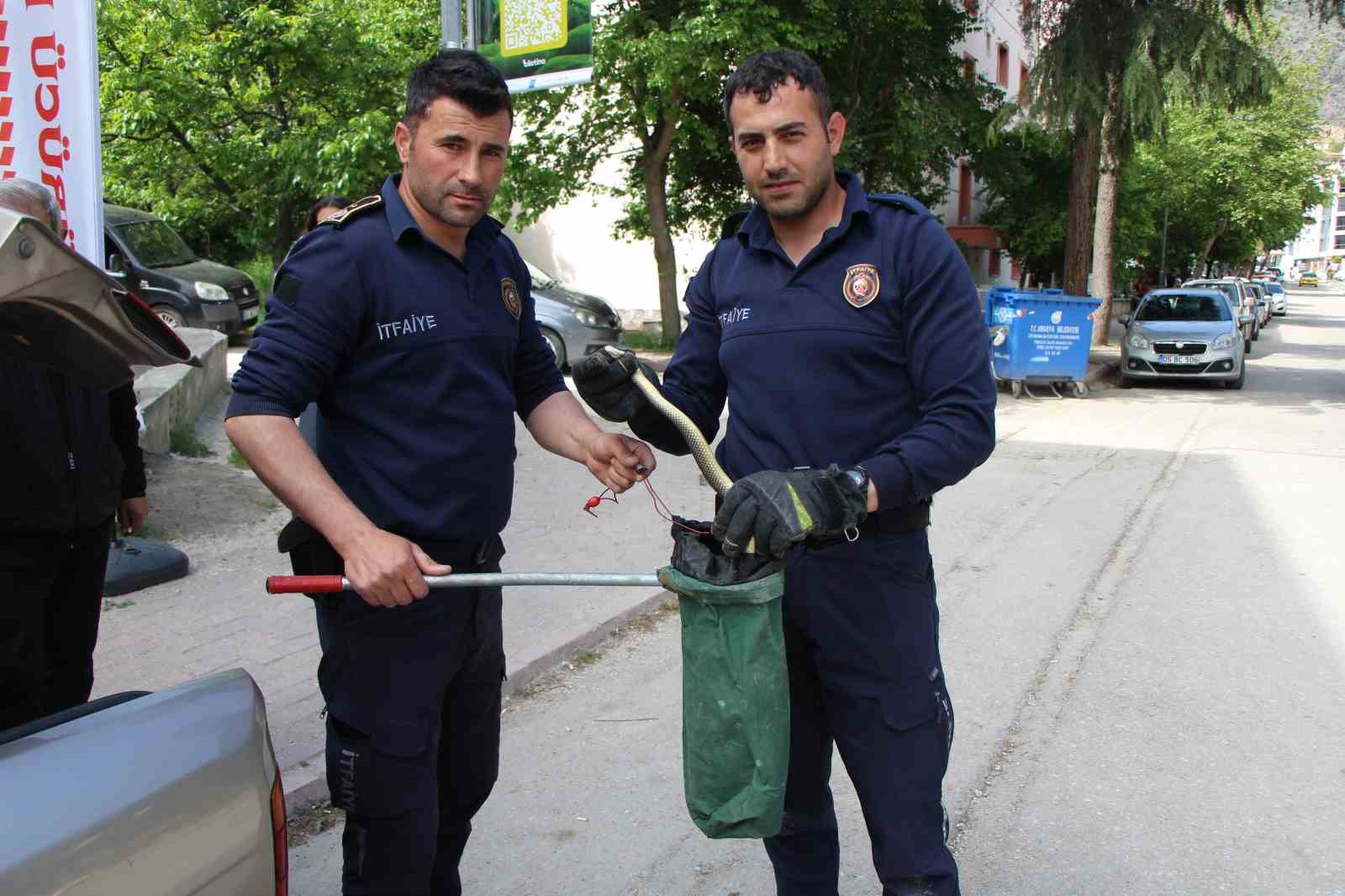 Otomobilin içine giren 1,5 metrelik yılanı itfaiye erleri yakaladı 6 otomobilin icine giren 15 metrelik yilani itfaiye erleri yakaladi 2 juCQ5aZH