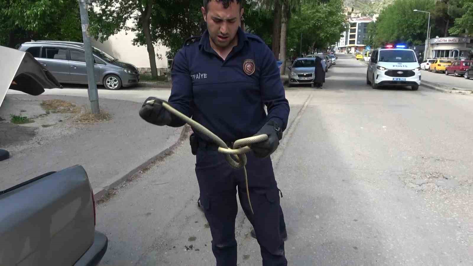 Otomobilin içine giren 1,5 metrelik yılanı itfaiye erleri yakaladı 9 otomobilin icine giren 15 metrelik yilani itfaiye erleri yakaladi 5 cdwpTNiK