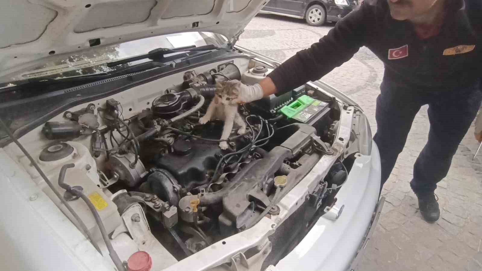 otomobilin kaputuna giren kediyi itfaiye ekipleri kurtardi 4 Q5plS9tT