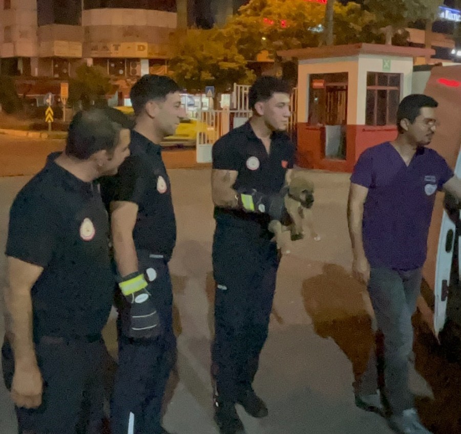 otomobilin motoruna sikisan yavru kopegi itfaiye kurtardi 1