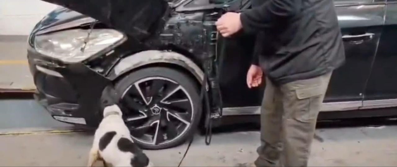 otomobilin on tamponunda 11 kilogram eroin ele gecirildi 1 UUF8duJ1