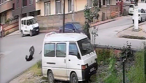 otomobille carpisan motosikletli yaralandi 2 PPIRXbeB