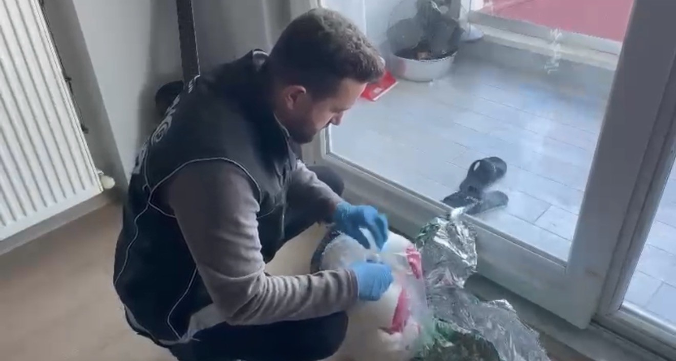 Oyuncak ayı içine gizlenen kokain ele geçirildi: 1 gözaltı 6 oyuncak ayi icine gizlenen kokain ele gecirildi 1 gozalti 2 WuTOsZRX
