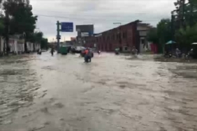 Kazakistan’da 19 noktada orman yangını 1 thumbnail