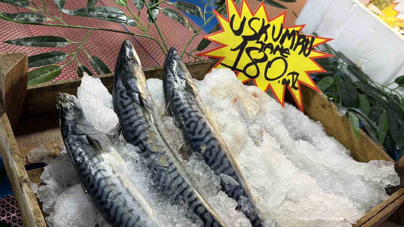 palamut gurcistana kacinca tezgahlar hamsiyle doldu 1 KE2UiEpl