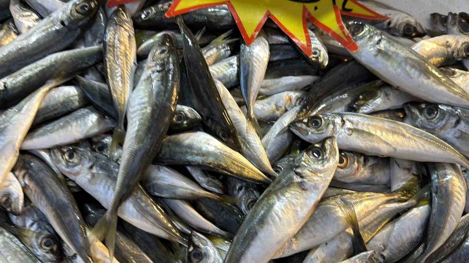 palamut gurcistana kacinca tezgahlar hamsiyle doldu 6 NKSv9yv1