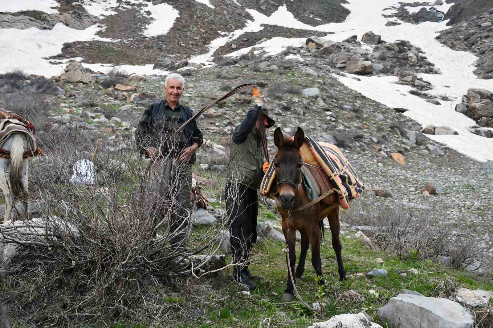 pancar toplamak icin dag bayir demeden geziyorlar 0 76PAvRlG