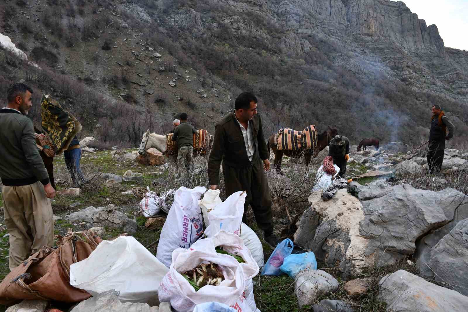 pancar toplamak icin dag bayir demeden geziyorlar 4 4Di1LuXU