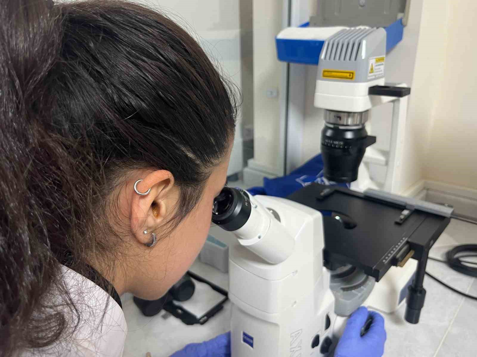 Parkinson’da bağırsak- beyin iletişimi çip üstü organ teknolojisiyle araştırılıyor 8 parkinsonda bagirsak beyin iletisimi cip ustu organ teknolojisiyle arastiriliyor 4 vnGXZjjf