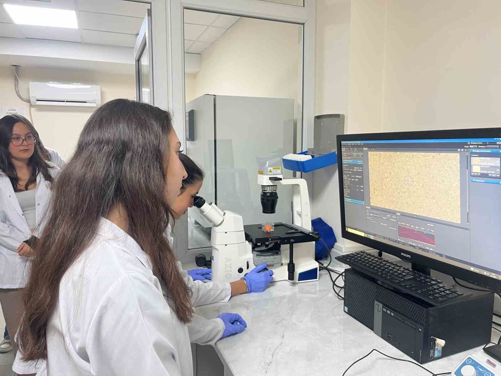 Parkinson’da bağırsak- beyin iletişimi çip üstü organ teknolojisiyle araştırılıyor 9 parkinsonda bagirsak beyin iletisimi cip ustu organ teknolojisiyle arastiriliyor 5 J7X7iD2d