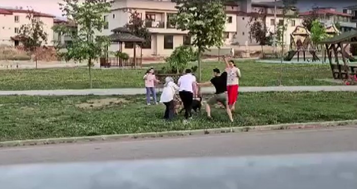 parkta dolastirilan kopege saldiran basibos kopek doktor tarafindan etkisiz hale getirildi 1 9t1s14Xz